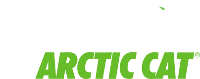 arctic cat